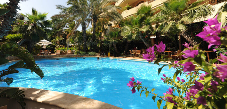 Fortina Spa Resort سليمة المظهر الخارجي الصورة The pool at the hotel